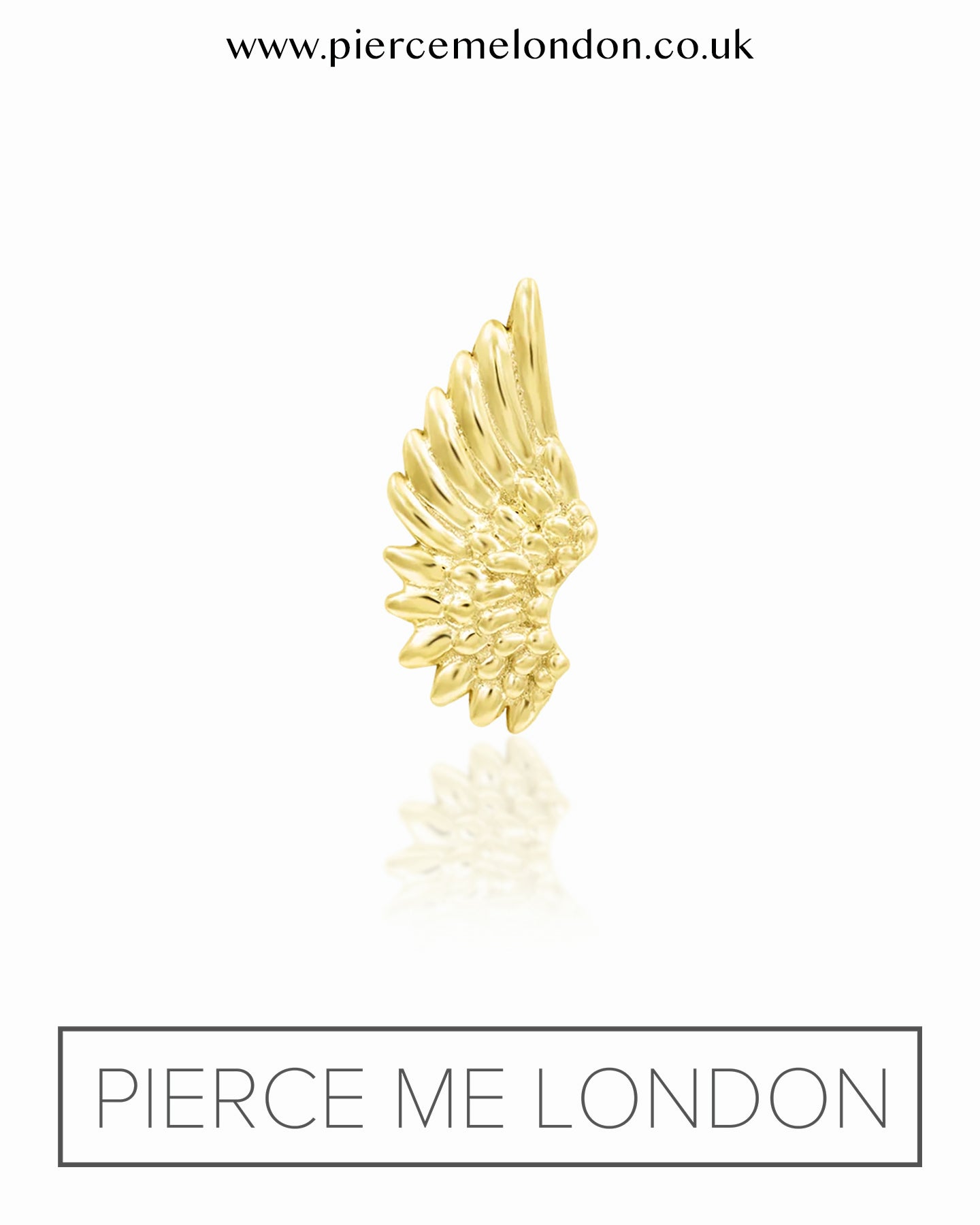 Icarus YG Attachment