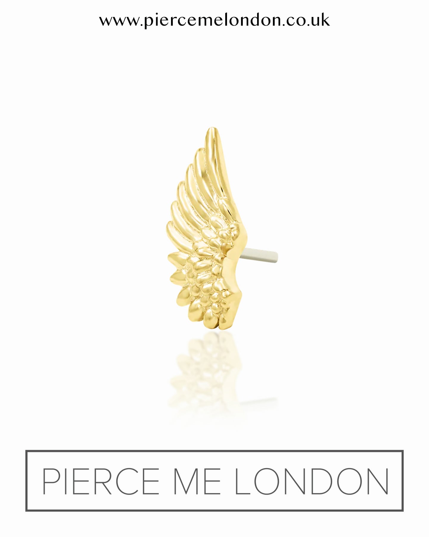 Icarus YG Attachment