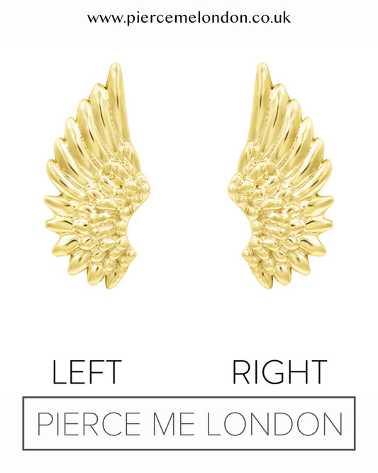 Icarus YG Attachment