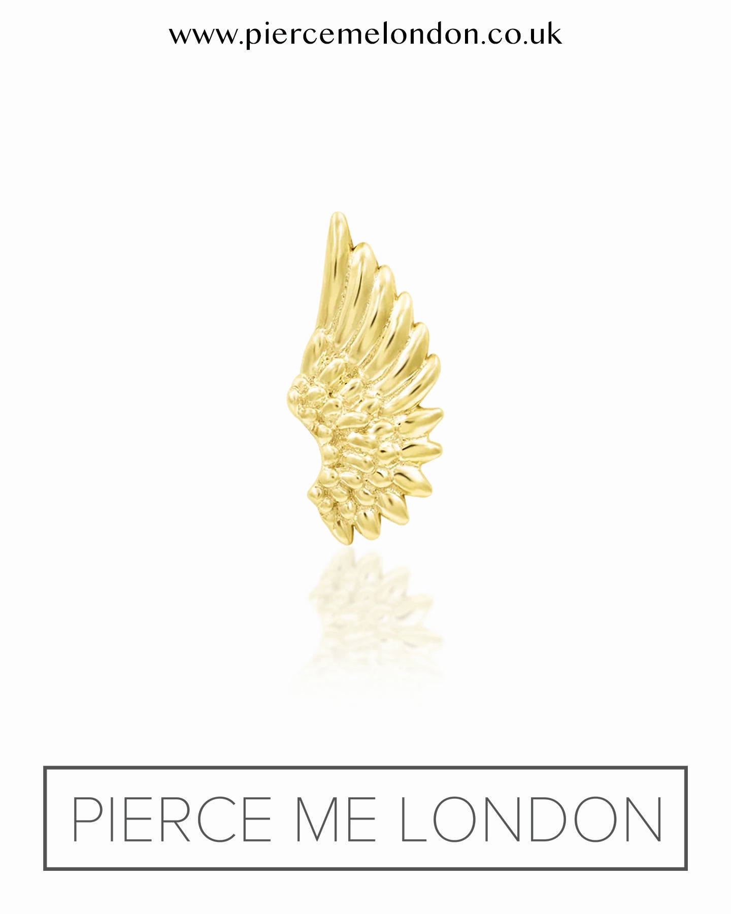 Icarus YG Attachment