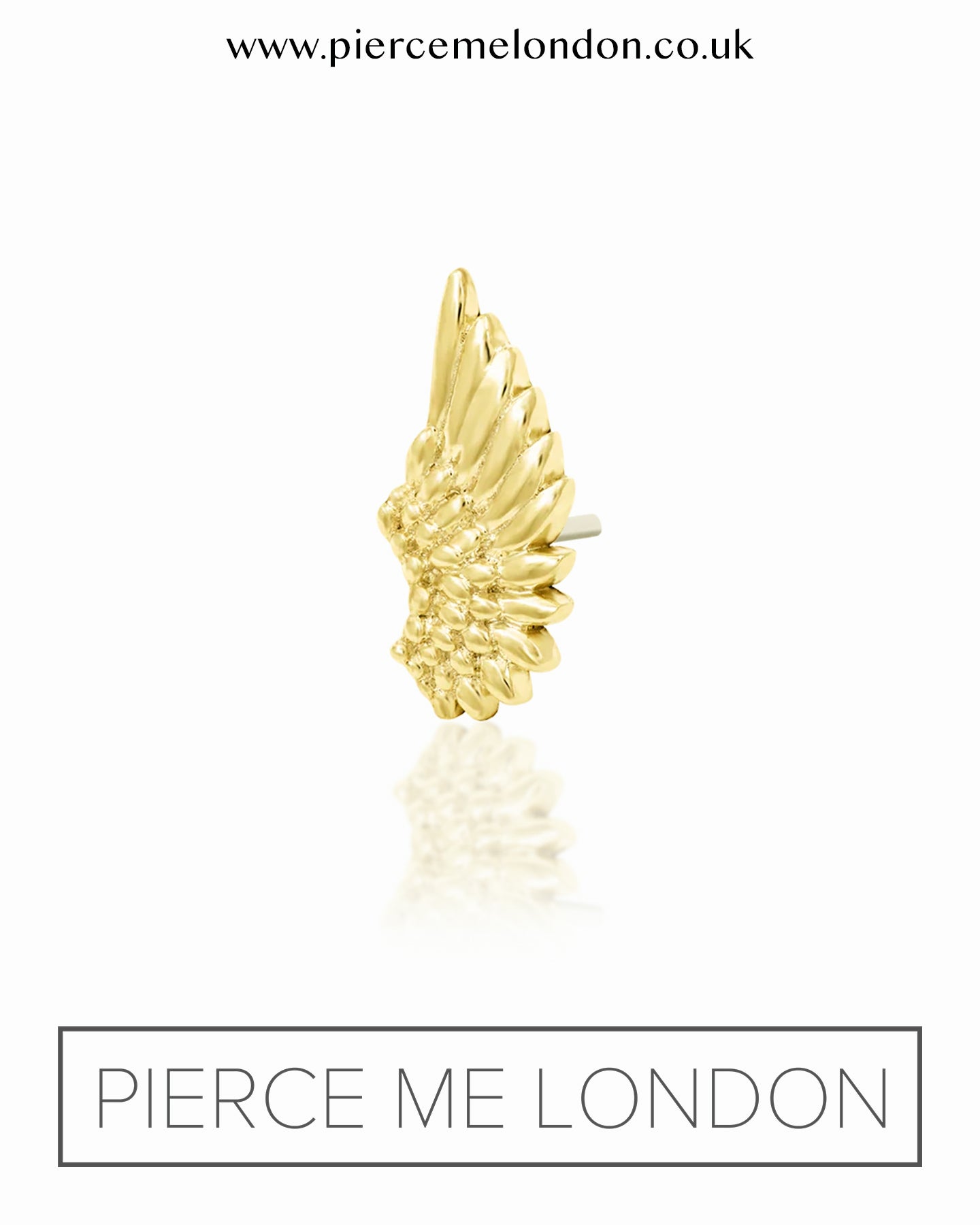 Icarus YG Attachment