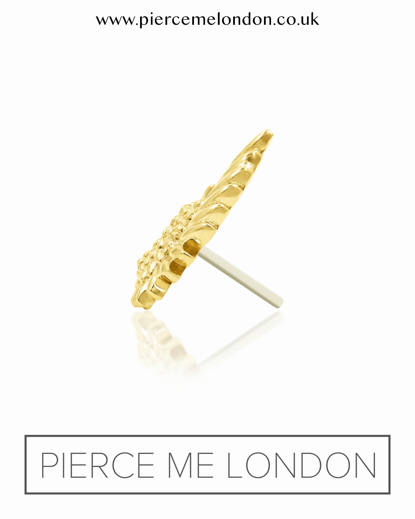 Icarus YG Attachment